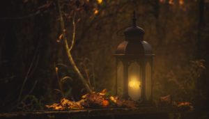 dark forest with autumn leaves and a lit lantern