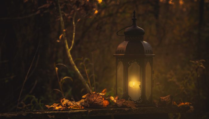 dark forest with autumn leaves and a lit lantern