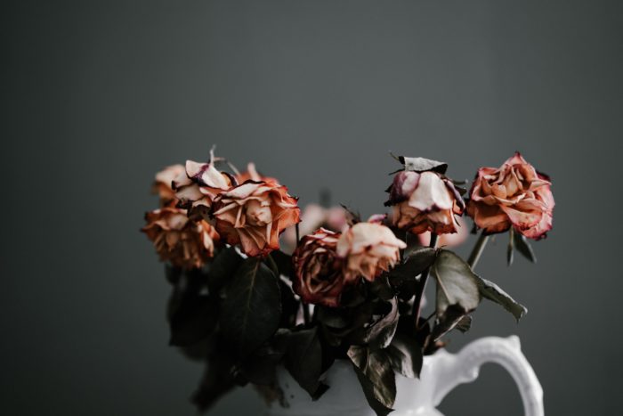 wilting flowers in a vase