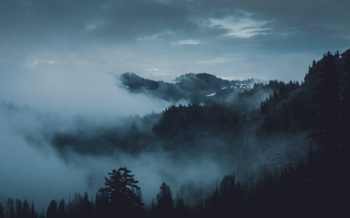 Pine-covered mountains shrouded in mist on a cloudy day