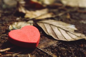 red heart lying among fallen leaves